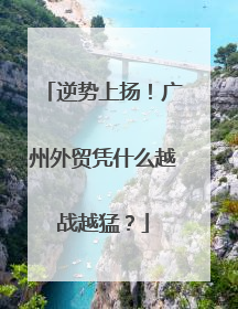 逆势上扬！广州外贸凭什么越战越猛？